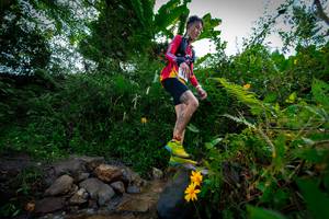 BIB: 
                            <button type="button" onclick="openModal(15974627)" class="btn btn-primary btn-sm float-right btn-popup" data-toggle="modal" data-target=".modal-high-quality">
                        <i class="fas fa-shopping-cart"></i> Add to Cart
                    </button>
                                            <button type="button" onclick="isThisMe(15974627, true)" class="btn btn-success btn-sm float-right btn-popup btn-isme hidden" data-toggle="tooltip" data-placement="bottom" title="นี่คือรูปของคุณใช่ไหม คลิกที่นี่เพื่อเอาเข้าอัลบั้ม">
                        <i class="fas fa-plus"></i> Add to album
                    </button>
                    <button type="button" onclick="isThisMe(15974627, false)" class="btn btn-warning btn-sm float-right btn-popup btn-isnotme hidden">
                        <i class="fas fa-ban"></i> Remove from album
                    </button>